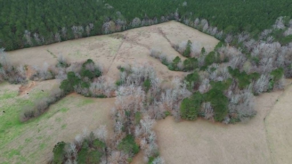 20 acres in Texas County - photo 9