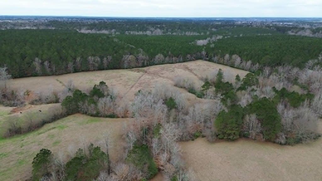 20 acres in Texas County - photo 12