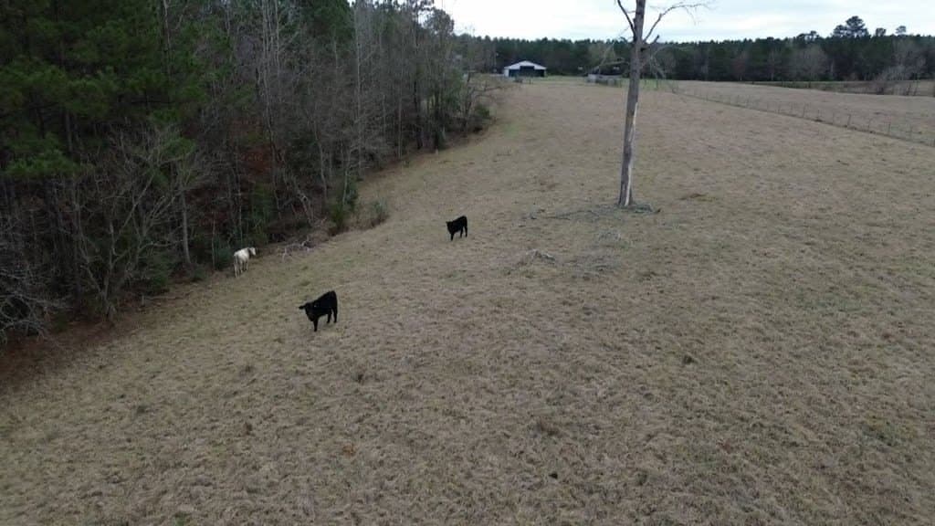 20 acres in Texas County - photo 14