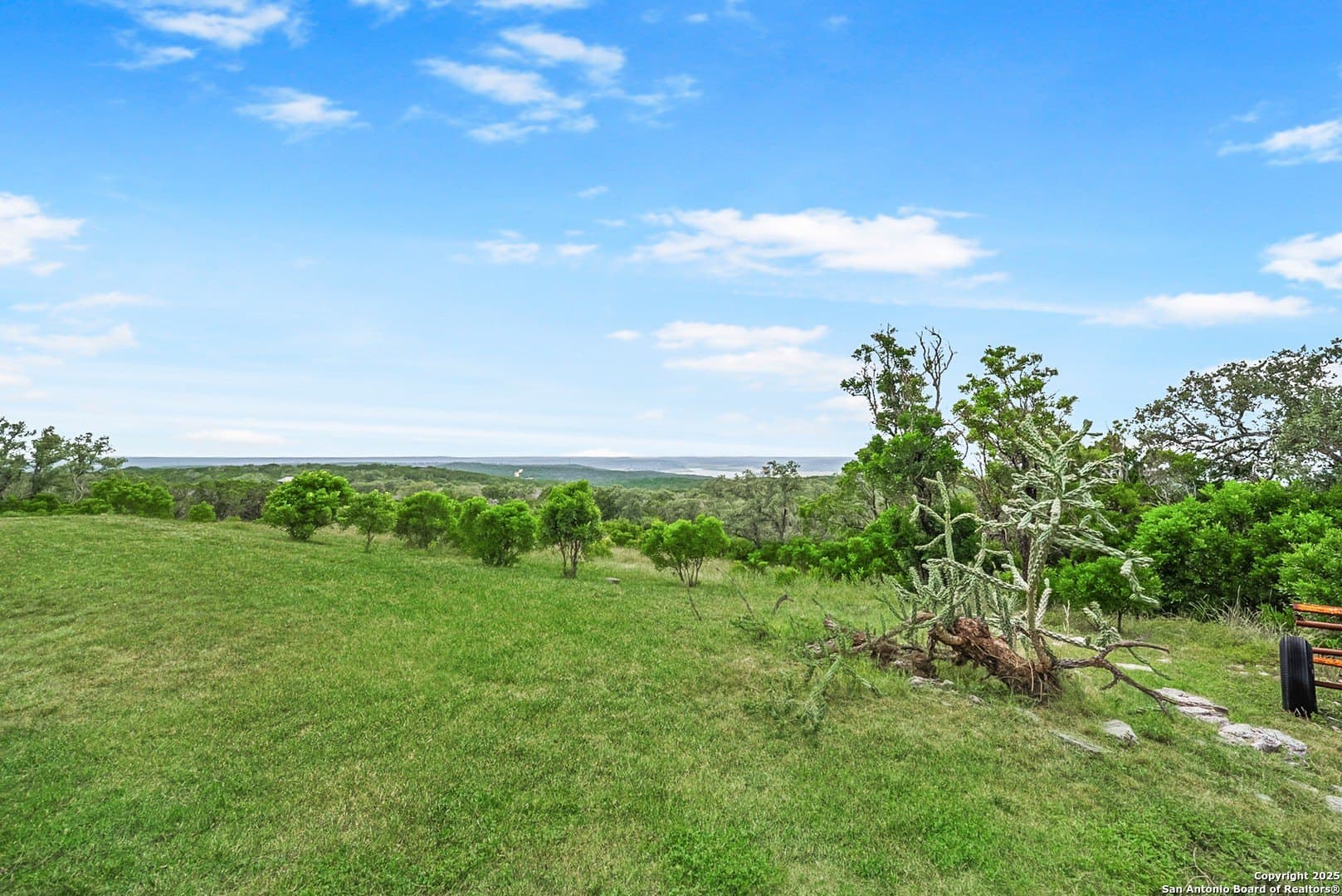 25.53 acres in Medina County - photo 31
