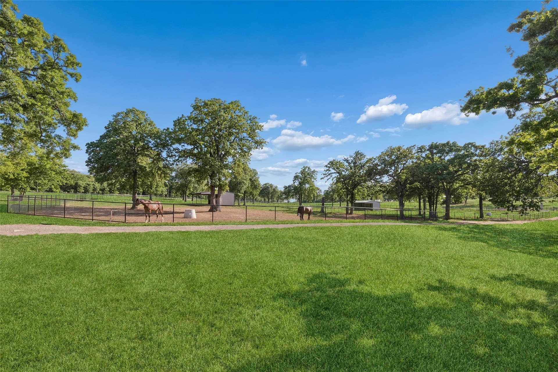 19.04 acres in Denton County - photo 34