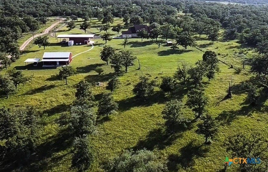 19.65 acres in Goliad County gallery image 4