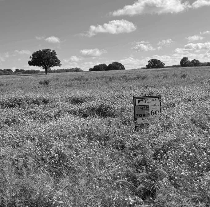 10 acres in Jack County gallery image 3