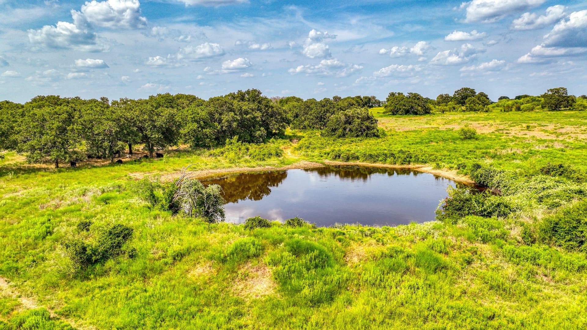 135 acres in Hood County gallery image 4