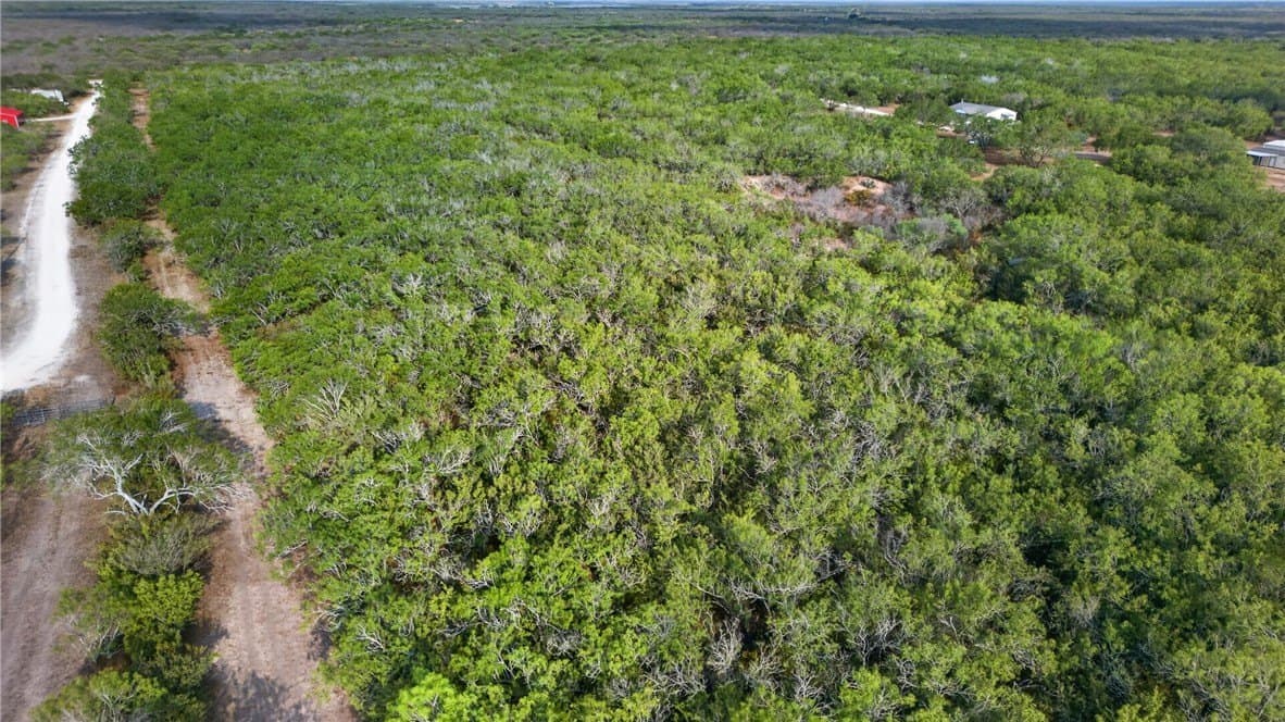 30 acres in Jim Wells County - photo 46