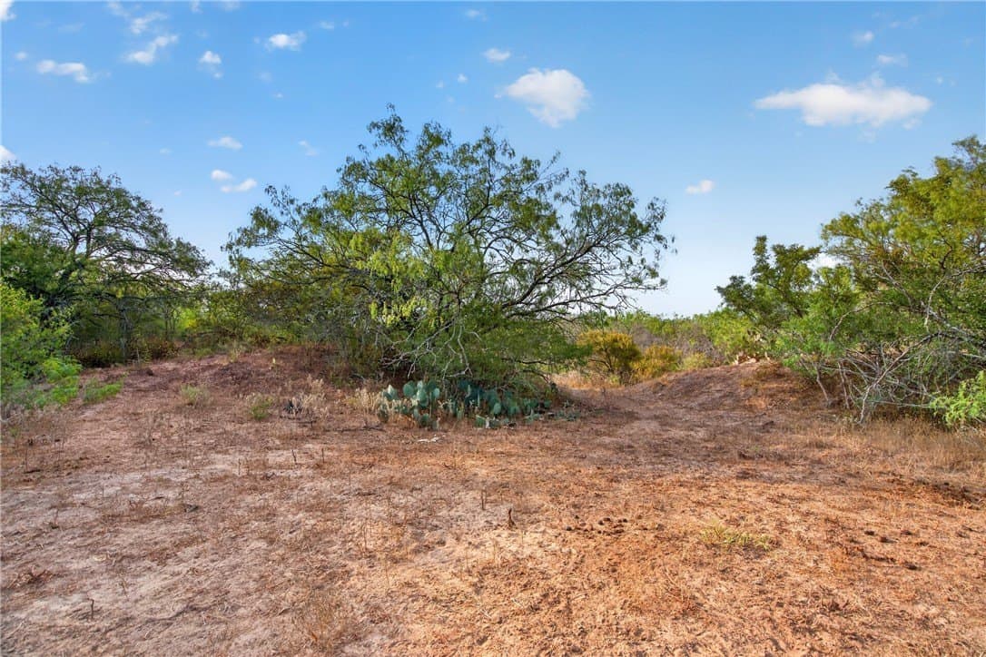 30 acres in Jim Wells County - photo 30
