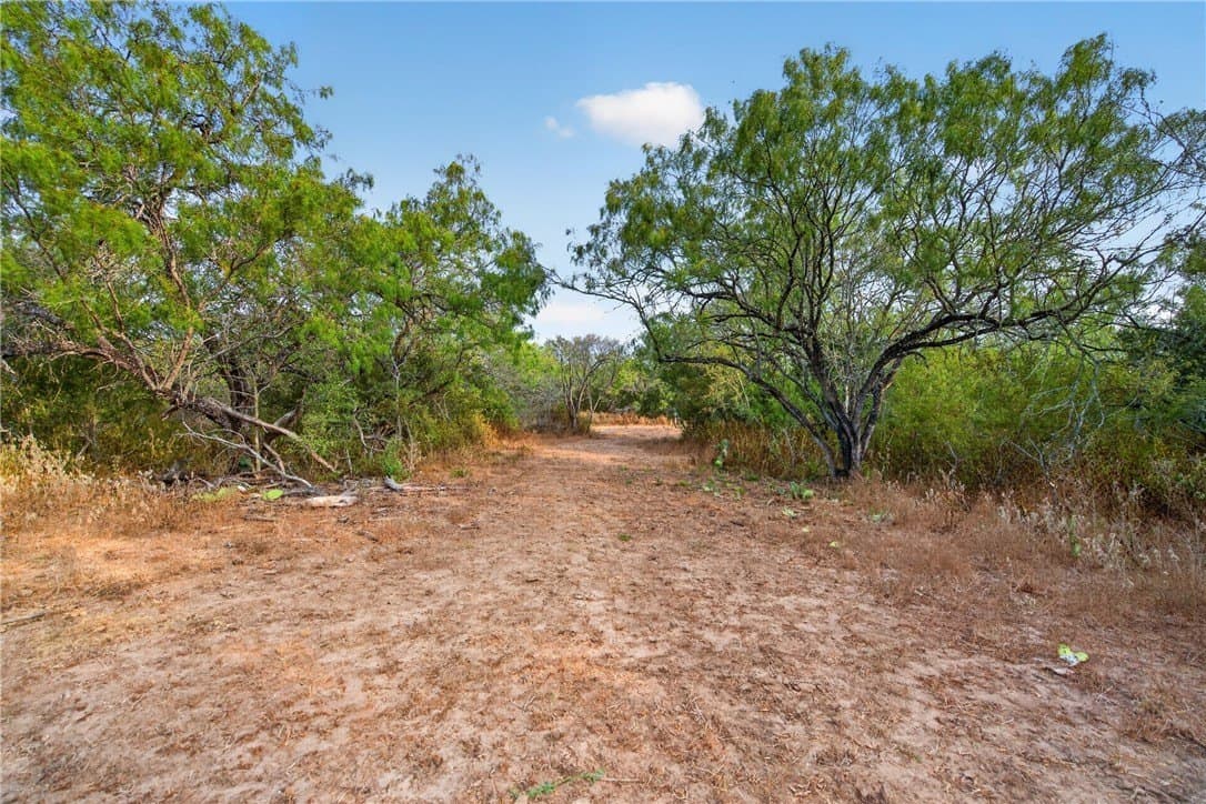 30 acres in Jim Wells County - photo 28