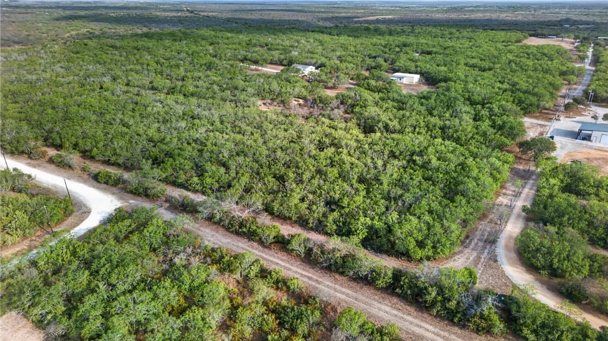 30 acres in Jim Wells County - photo 45