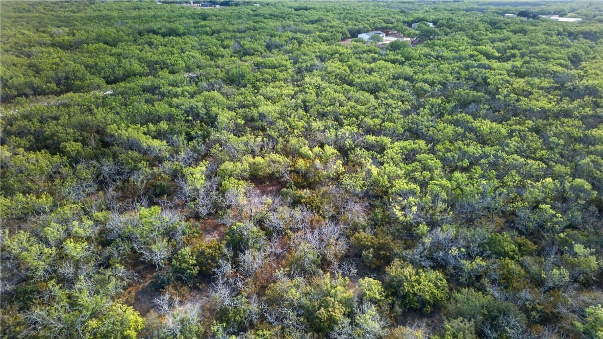 30 acres in Jim Wells County - photo 51