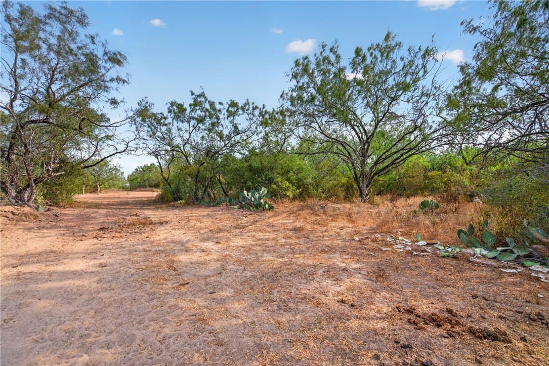 30 acres in Jim Wells County - photo 31