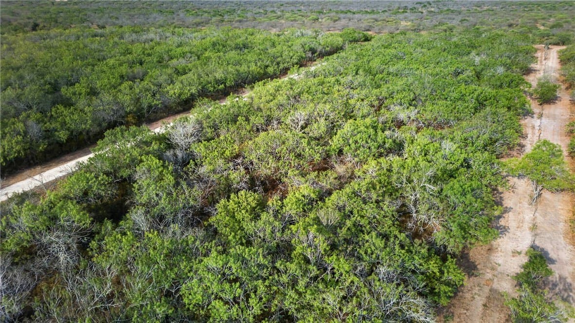 30 acres in Jim Wells County - photo 49