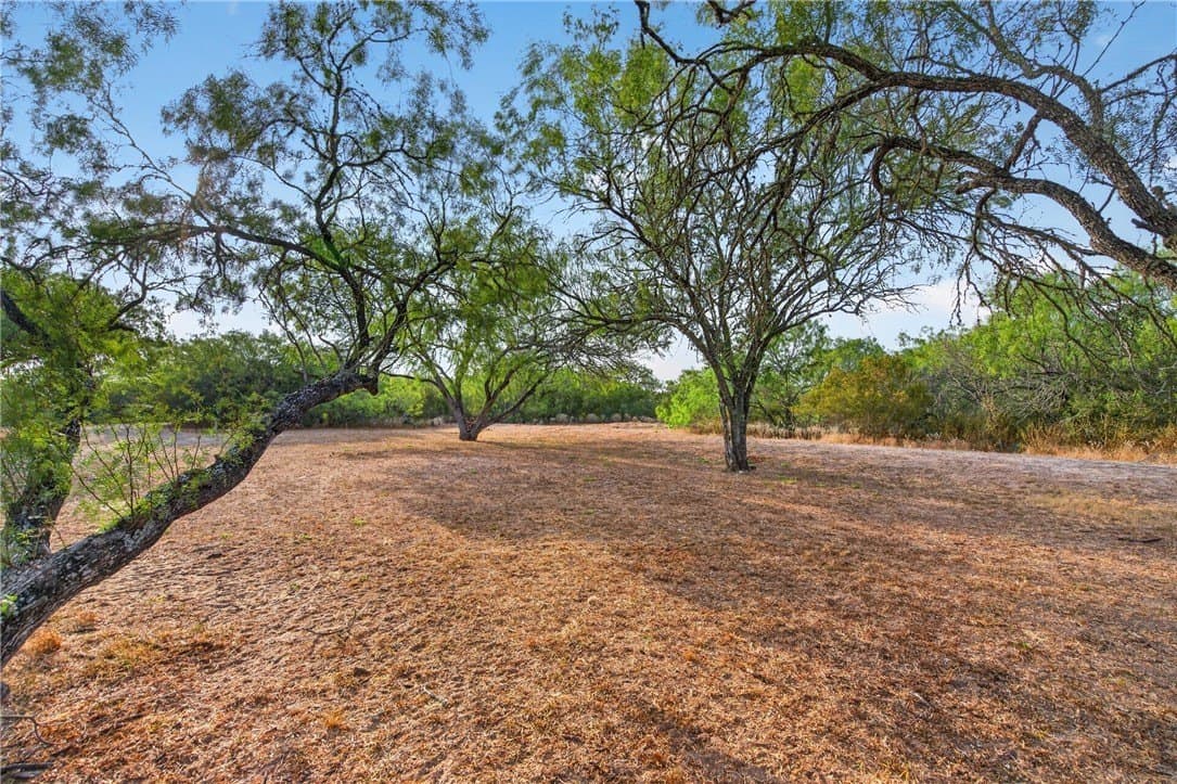 30 acres in Jim Wells County - photo 29