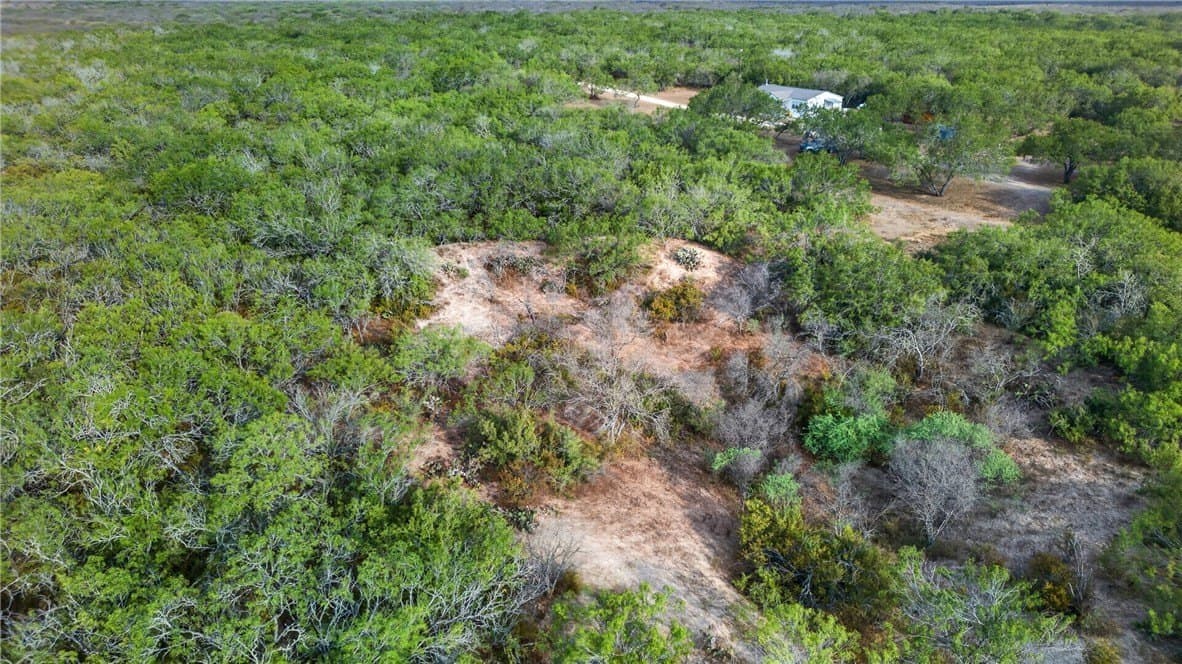 30 acres in Jim Wells County - photo 47
