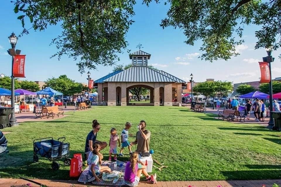 0.28 acres in Collin County gallery image 3