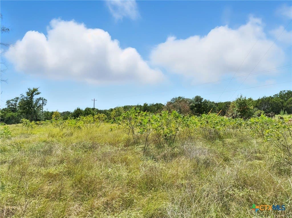 10.01 acres in Hamilton County gallery image 2
