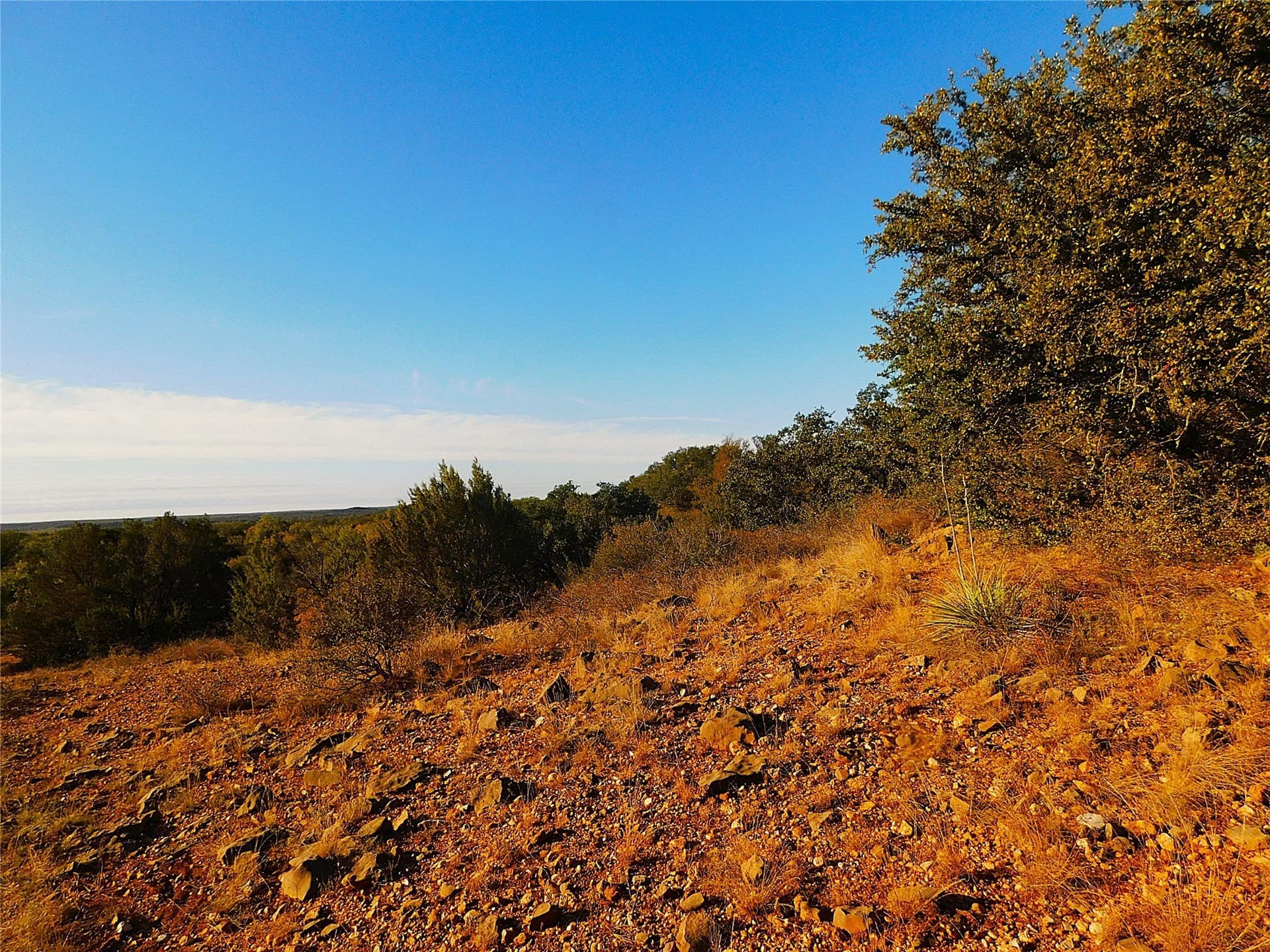 38.02 acres in Brown County - photo 5