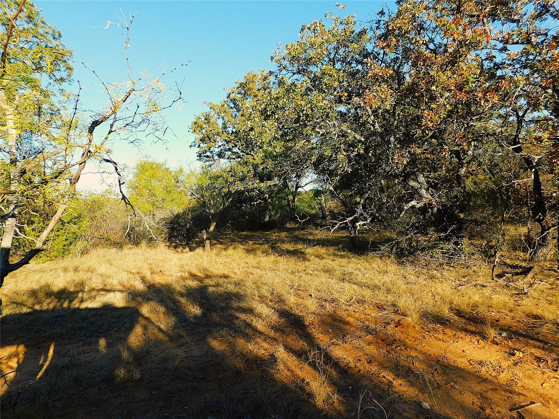 38.02 acres in Brown County - photo 6