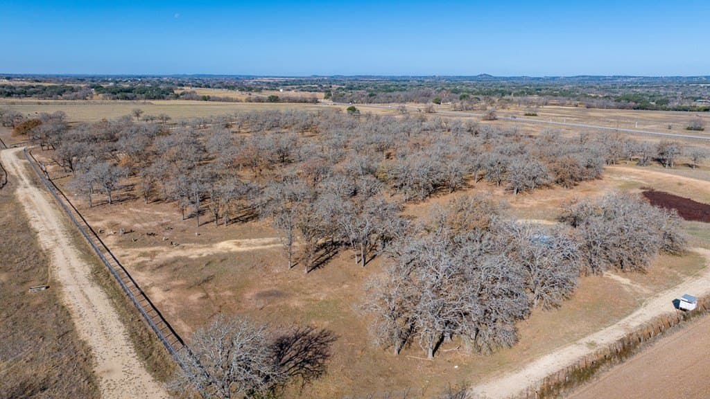 197 acres in Gillespie County - photo 9