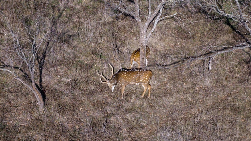 197 acres in Gillespie County - photo 2