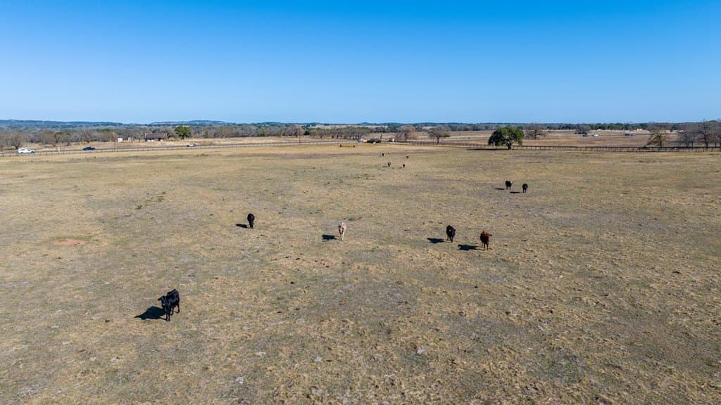 197 acres in Gillespie County - photo 15
