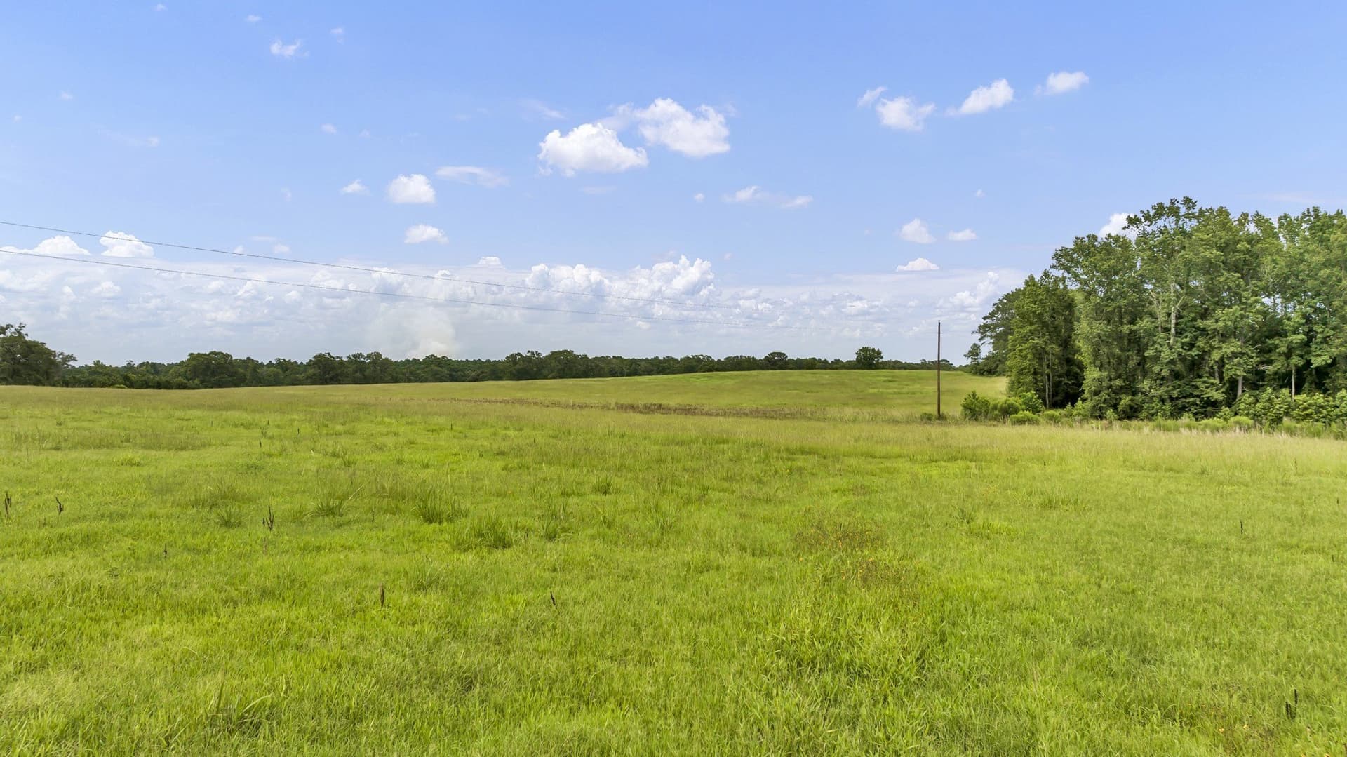 93.98 acres in Panola County - photo 20