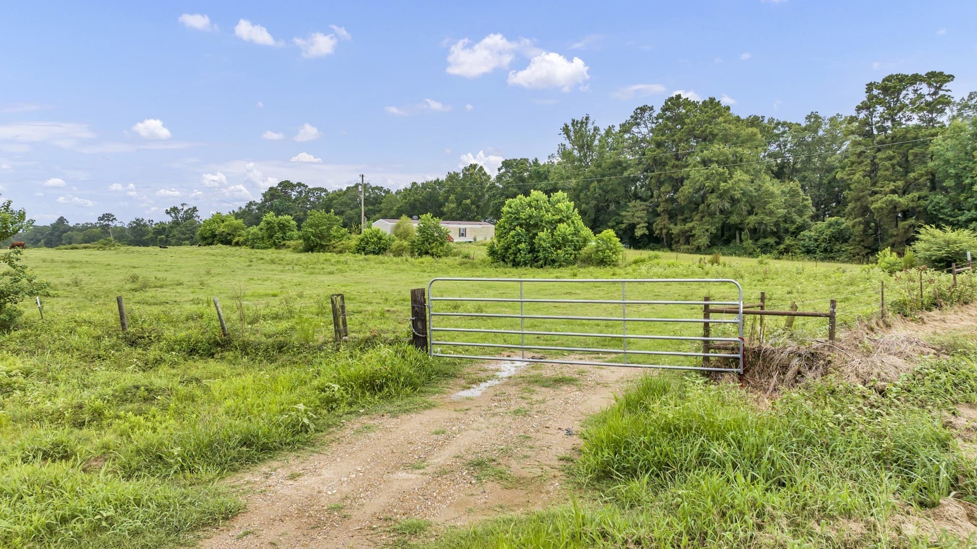 93.98 acres in Panola County - photo 15