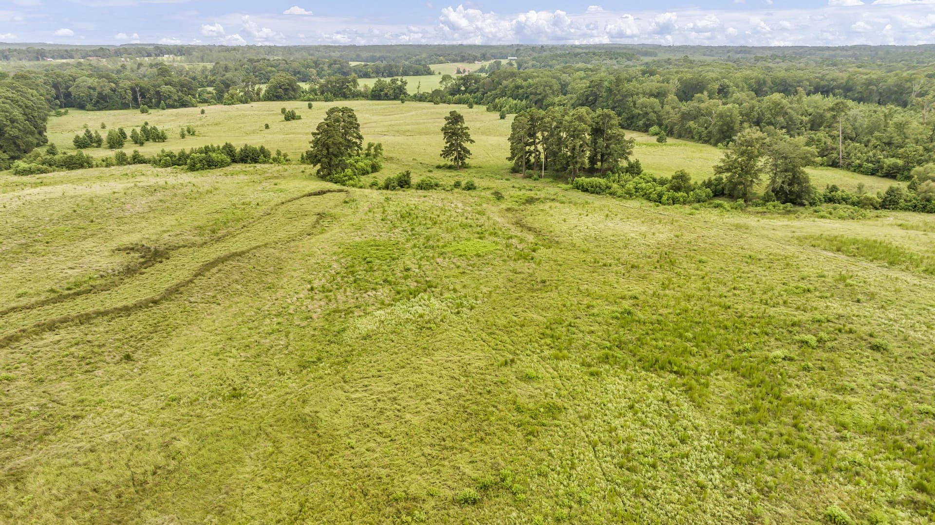 93.98 acres in Panola County - photo 9