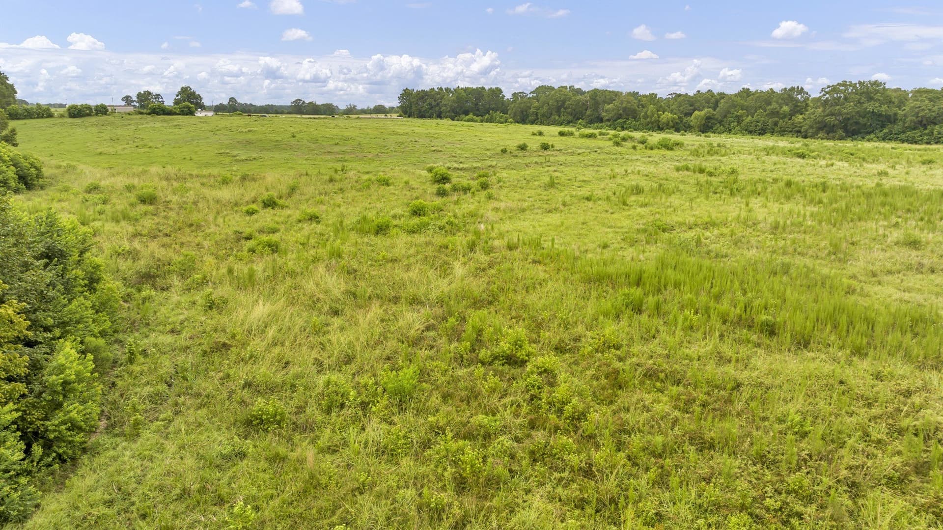 93.98 acres in Panola County - photo 10