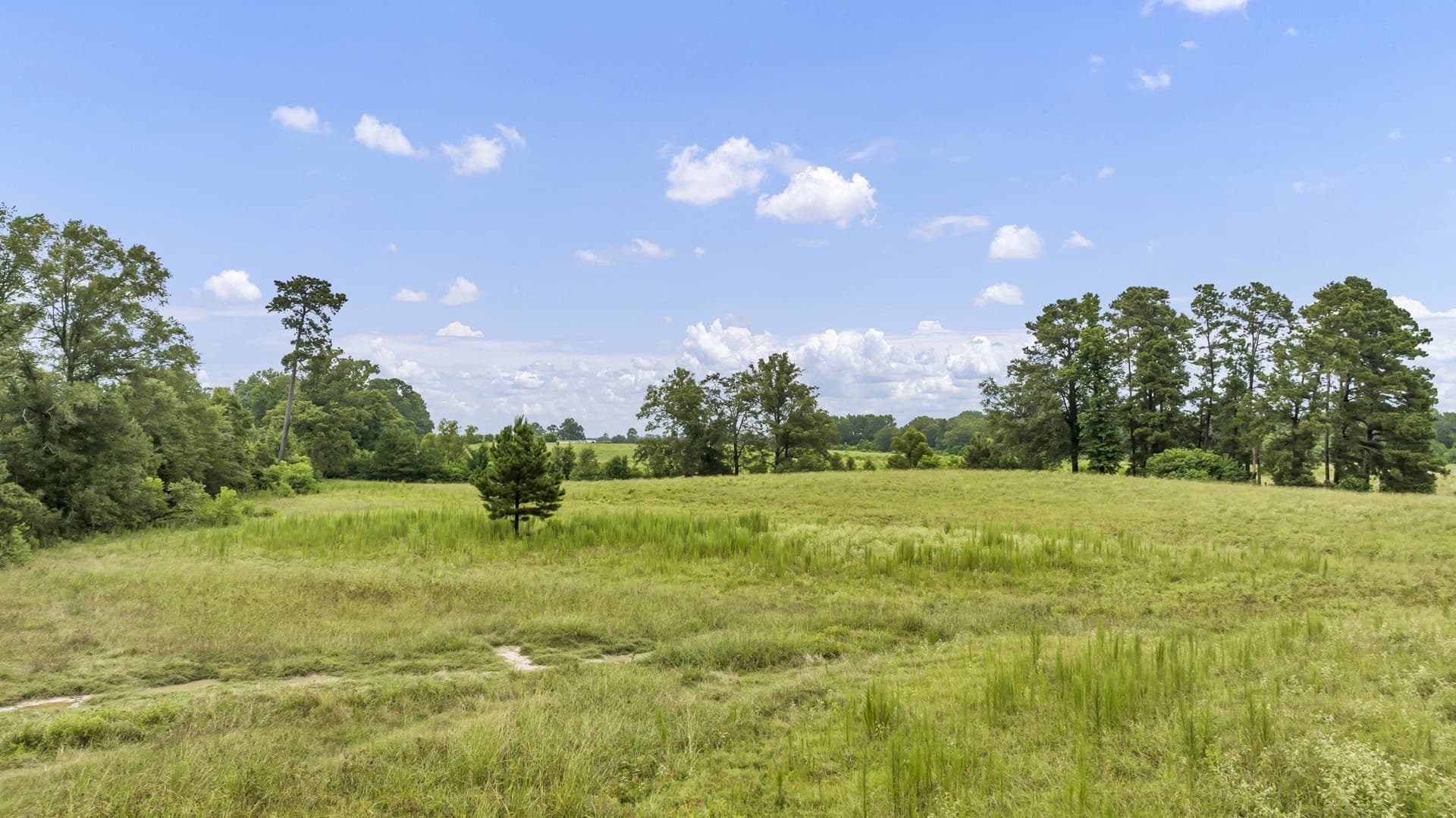 93.98 acres in Panola County - photo 21