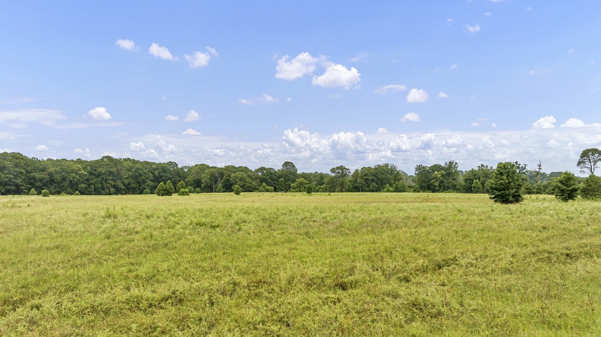 93.98 acres in Panola County - photo 5