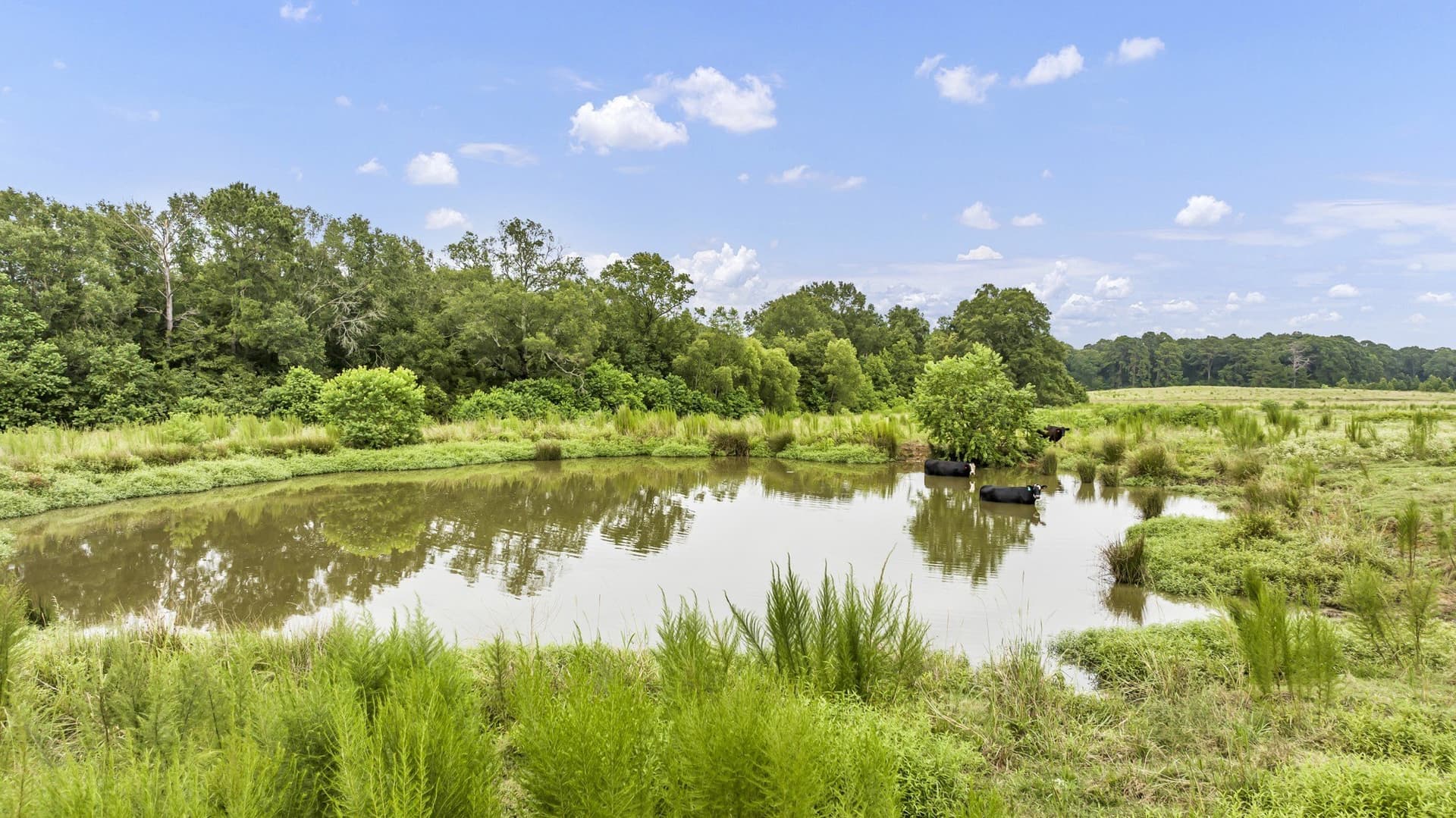 93.98 acres in Panola County - photo 17