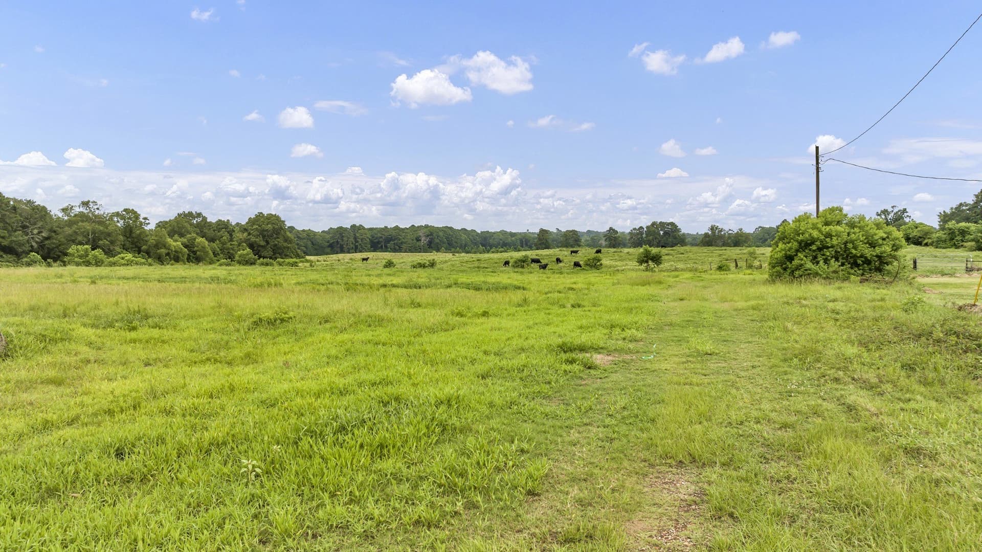 93.98 acres in Panola County - photo 14