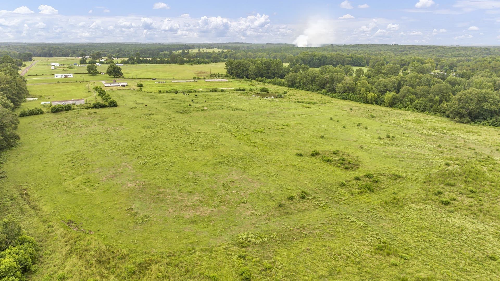 93.98 acres in Panola County - photo 11