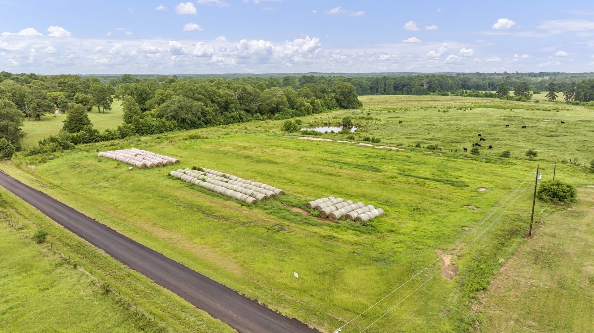 93.98 acres in Panola County - photo 12