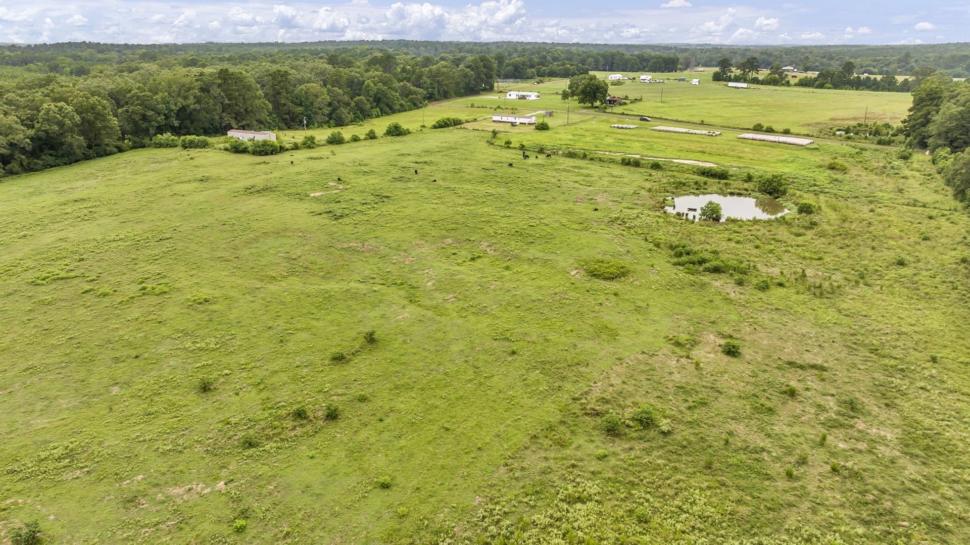 93.98 acres in Panola County - photo 22