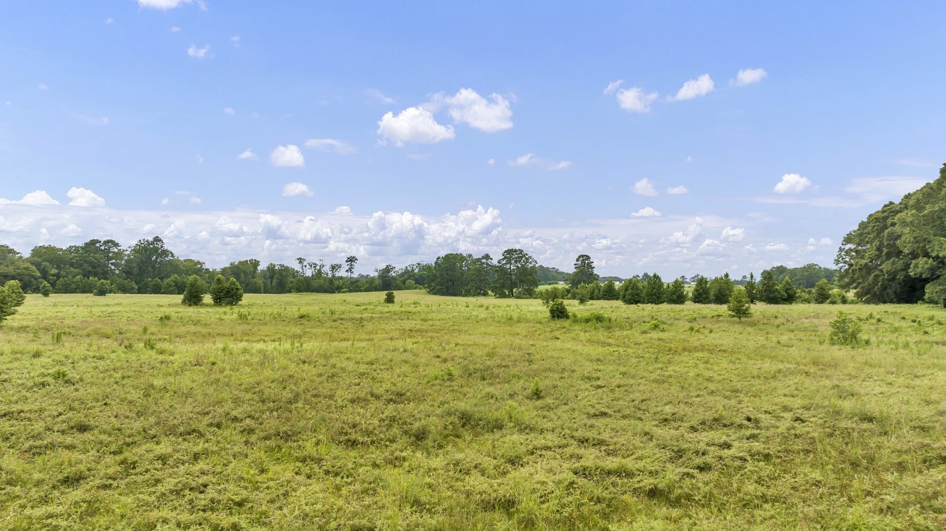93.98 acres in Panola County - photo 4