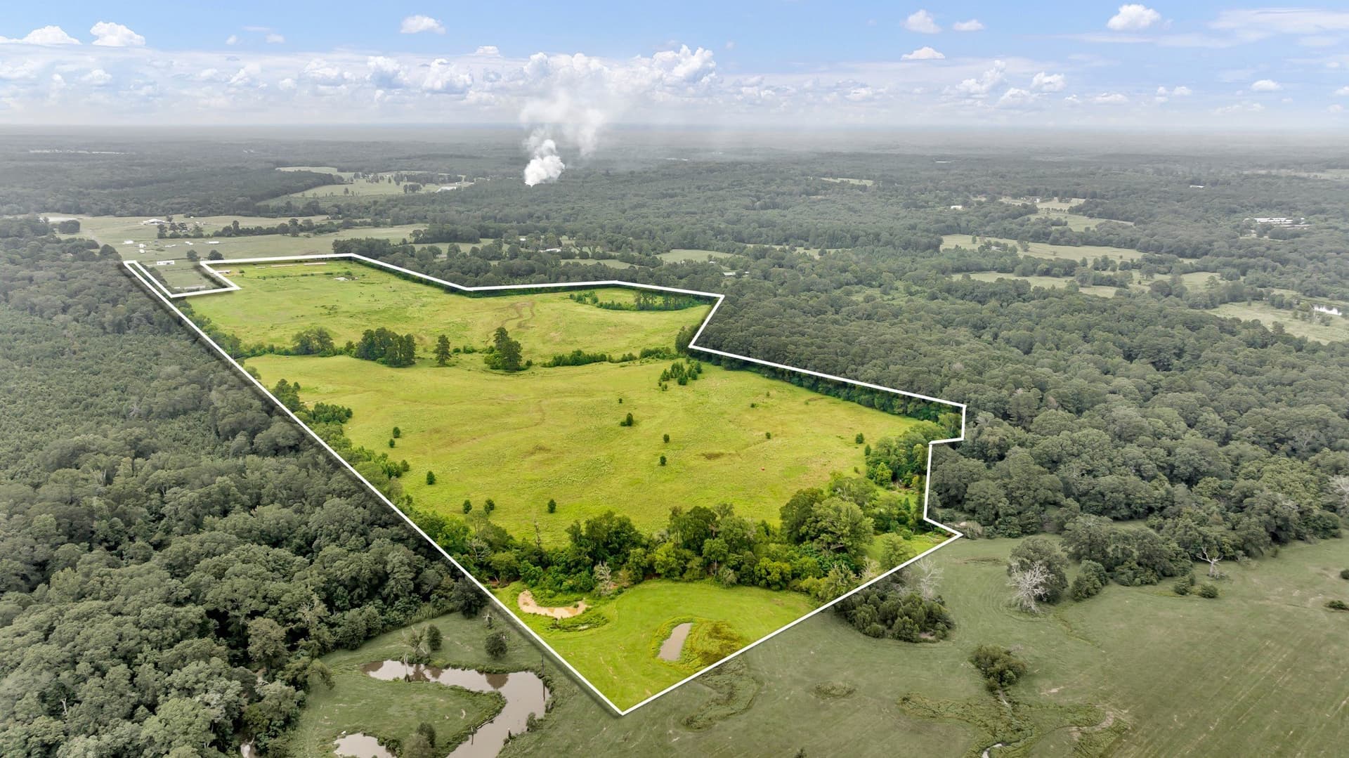 93.98 acres in Panola County - photo 2