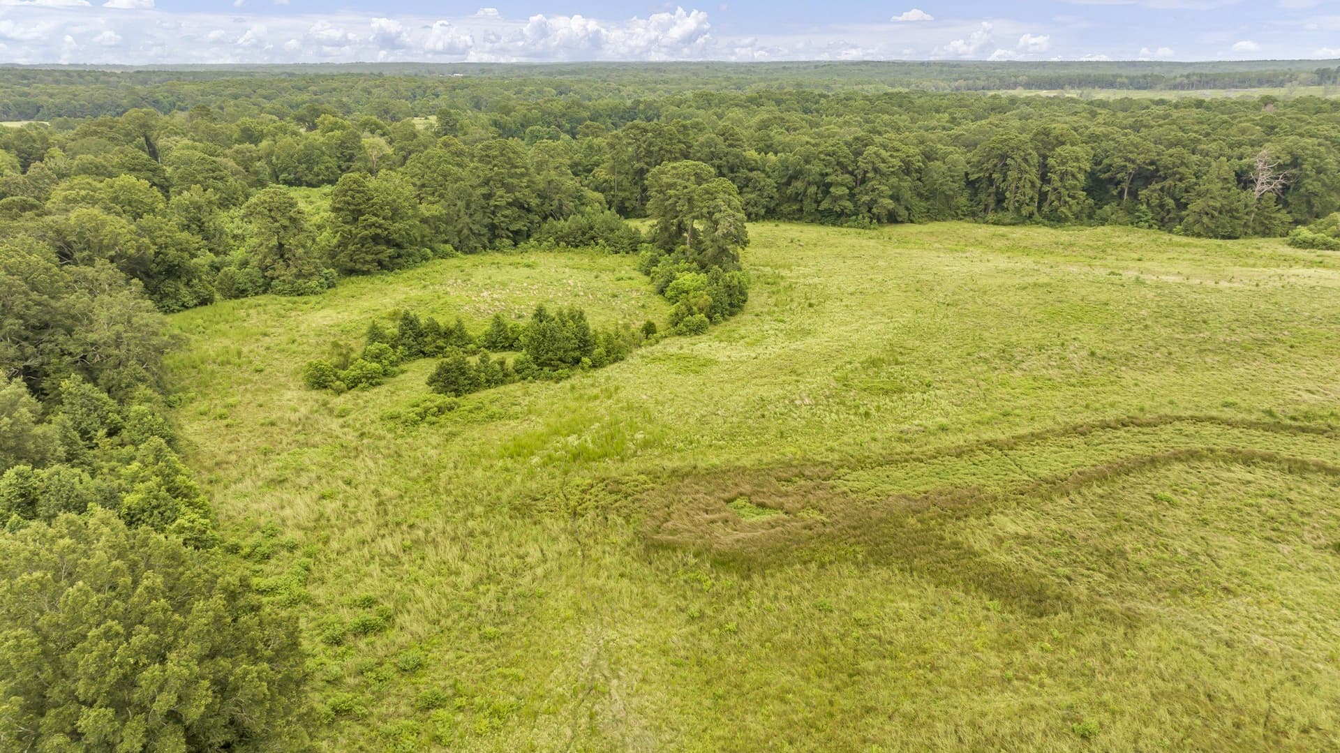 93.98 acres in Panola County - photo 8