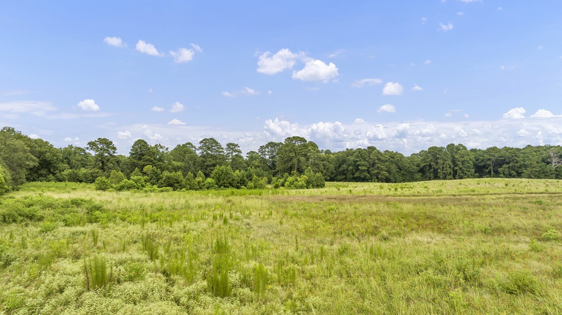 93.98 acres in Panola County - photo 7