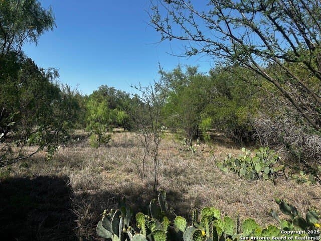 21.41 acres in Real County - photo 18