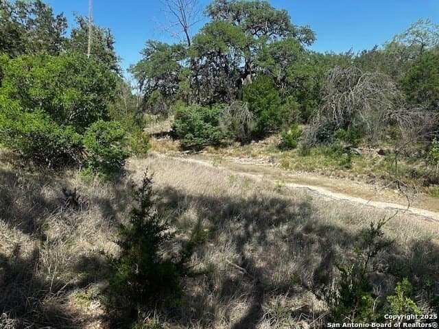 21.41 acres in Real County - photo 14