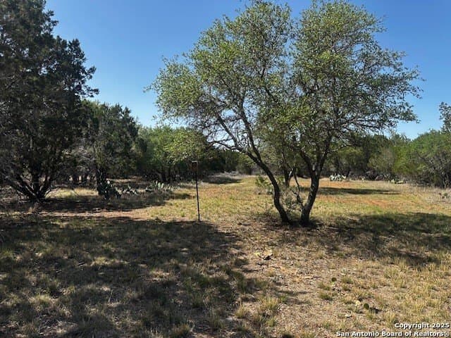 21.41 acres in Real County - photo 20