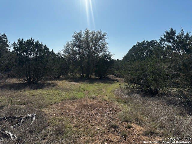 21.41 acres in Real County - photo 21