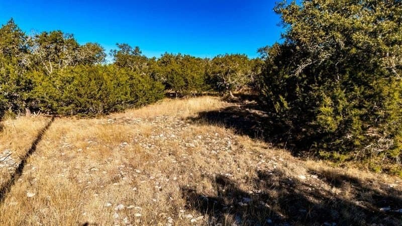 5.17 acres in Gillespie County - photo 5