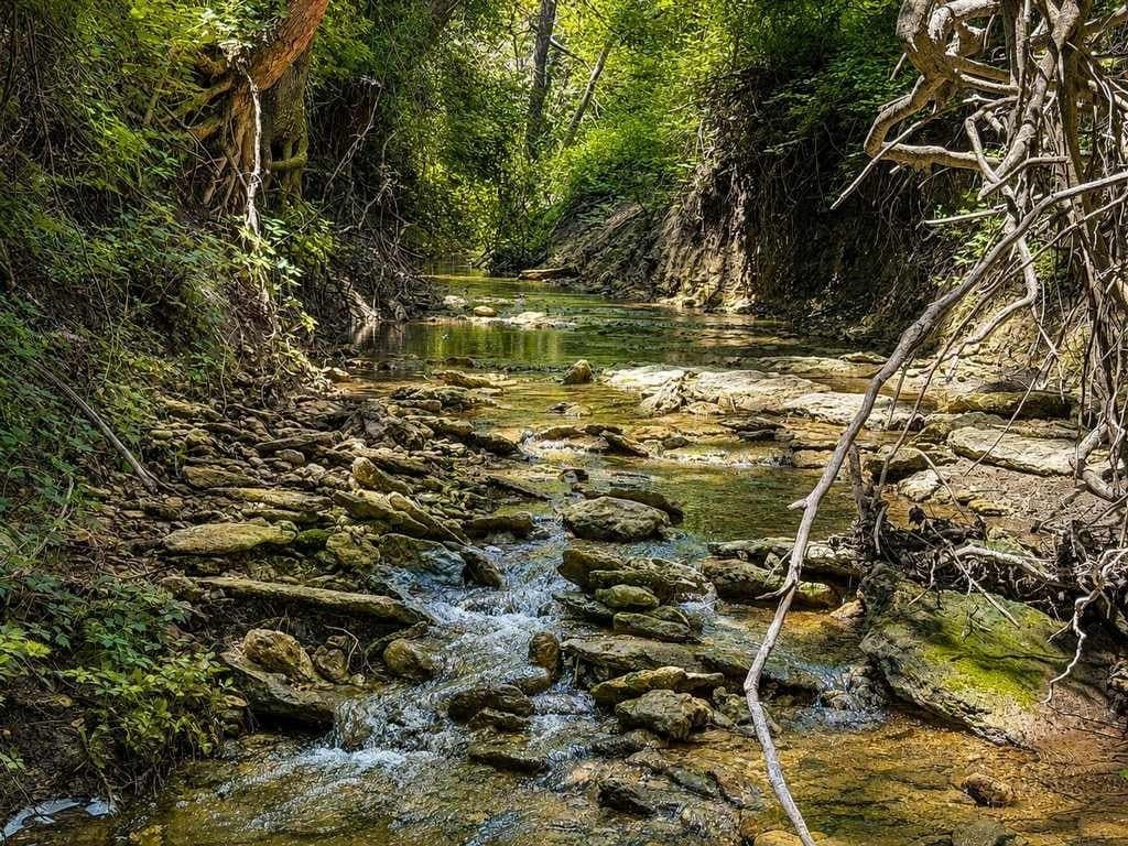 86.37 acres in Coryell County gallery image 3