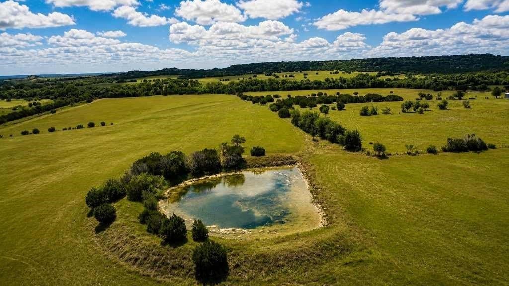 86.37 acres in Coryell County gallery image 4