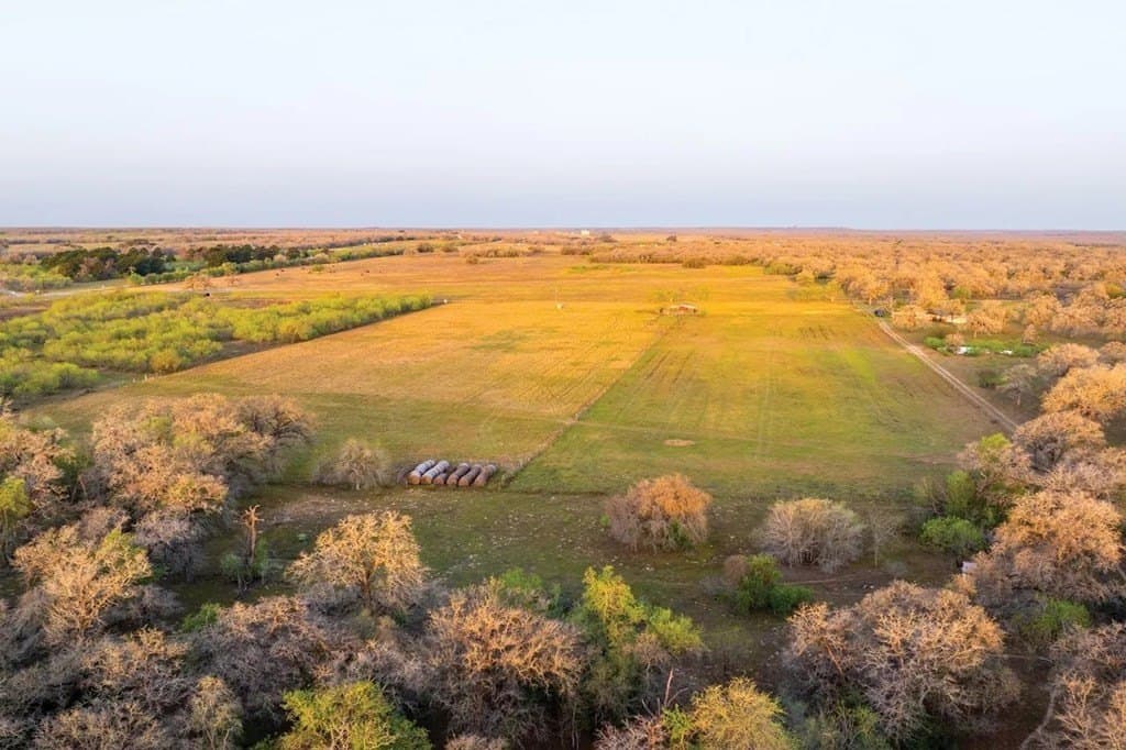 16.5 acres in Guadalupe County gallery image 3