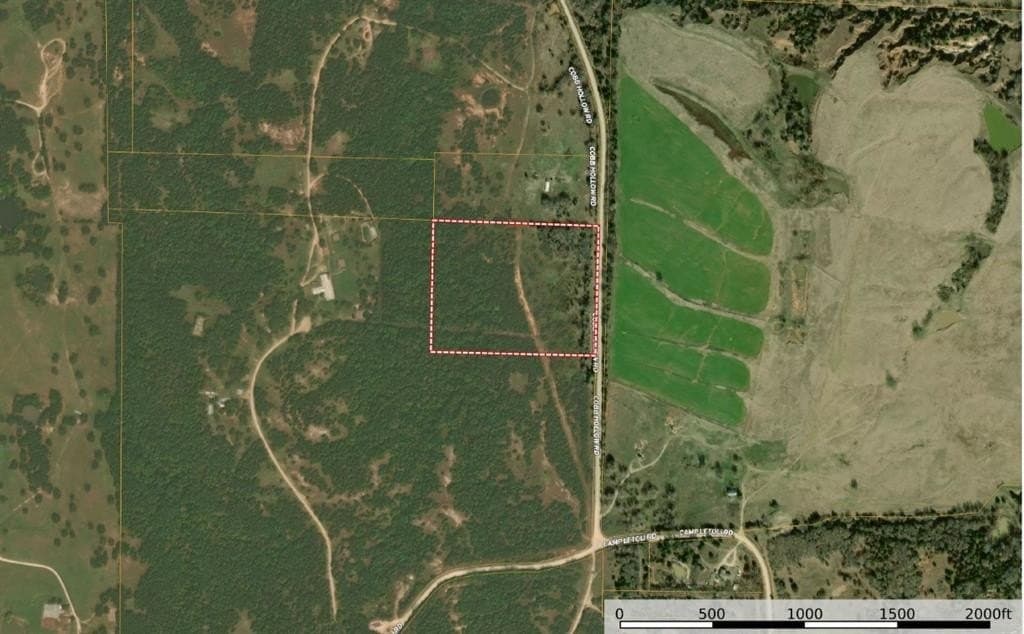 23.25 acres in Montague County gallery image 2