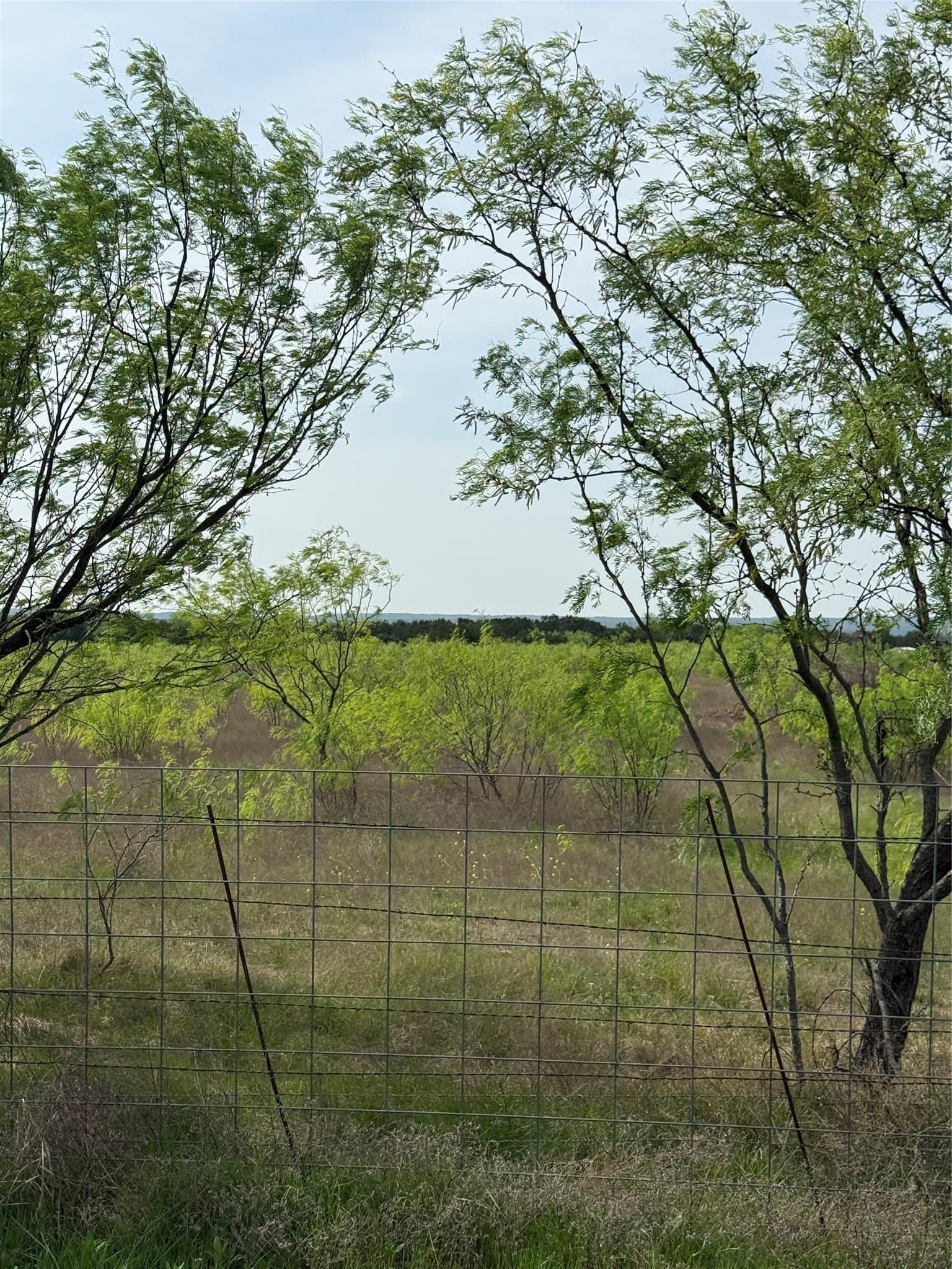 27.15 acres in Palo Pinto County - photo 2