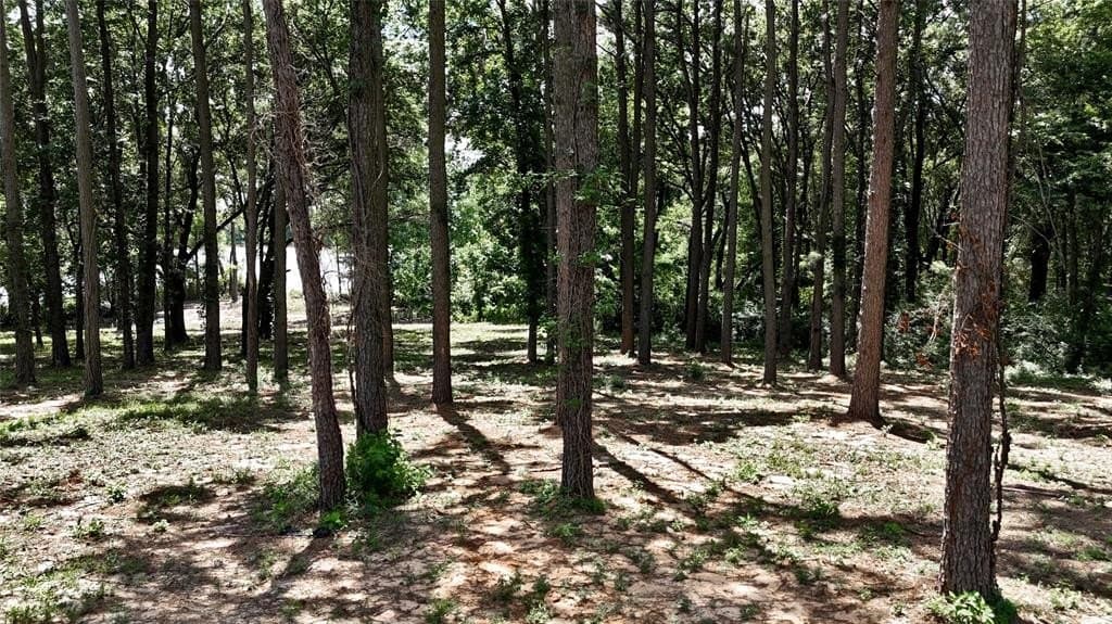 1.38 acres in Henderson County featured view